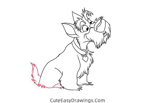 how to draw jock from lady and the tramp - www.cuteeasydrawings.com