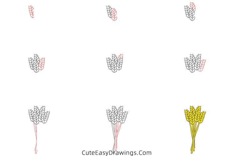 how to draw wheat - www.cuteeasydrawings.com