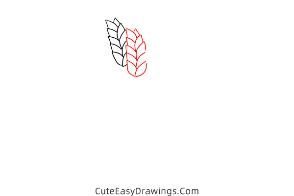 how to draw wheat - www.cuteeasydrawings.com