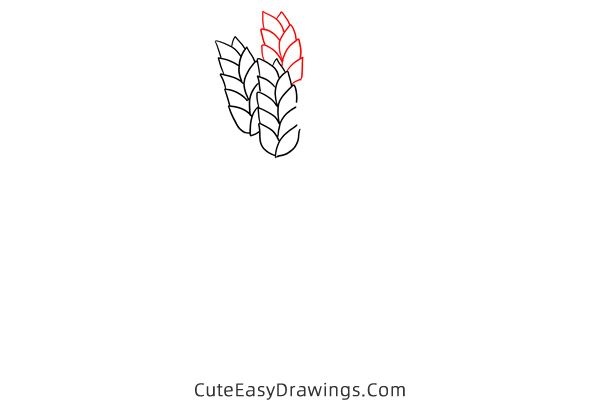 how to draw wheat - www.cuteeasydrawings.com