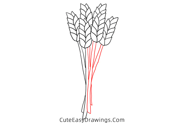 how to draw wheat - www.cuteeasydrawings.com