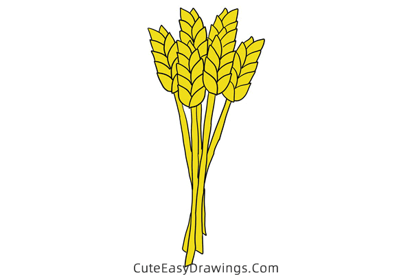 how to draw wheat - www.cuteeasydrawings.com