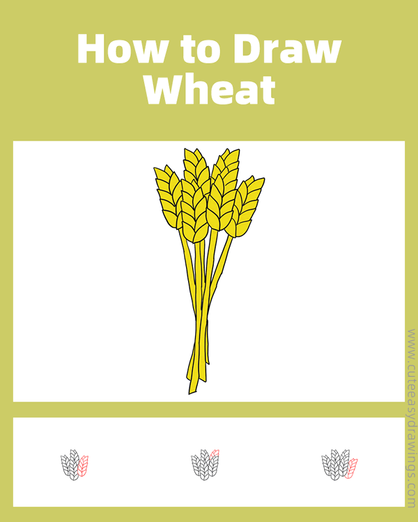how to draw wheat - www.cuteeasydrawings.com