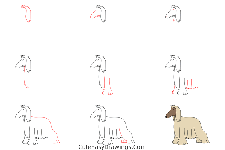 how to draw an afghan hound - www.cuteeasydrawings.com