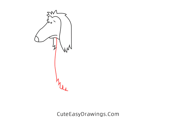 how to draw an afghan hound - www.cuteeasydrawings.com