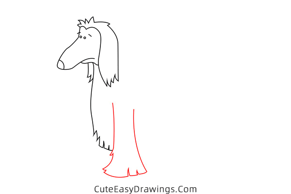how to draw an afghan hound - www.cuteeasydrawings.com