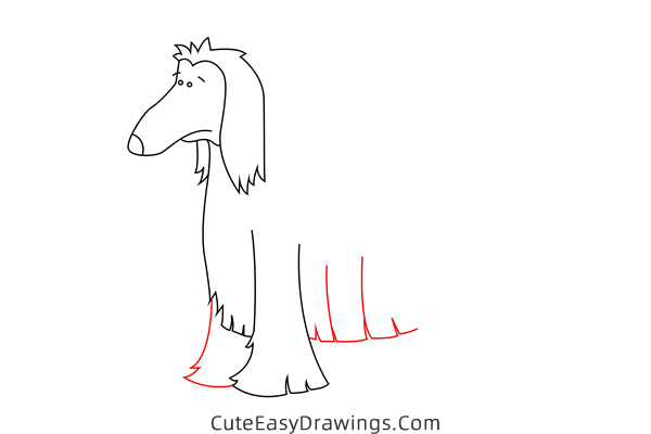 how to draw an afghan hound - www.cuteeasydrawings.com
