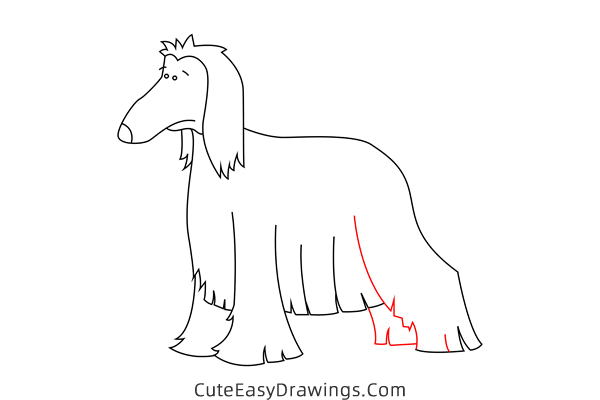 how to draw an afghan hound - www.cuteeasydrawings.com