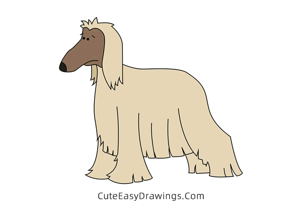 how to draw an afghan hound - www.cuteeasydrawings.com