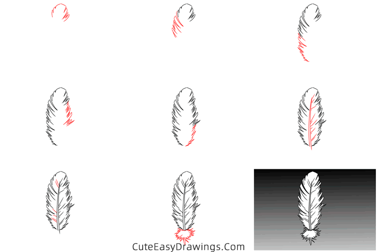 how to draw a feather - www.cuteeasydrawings.com