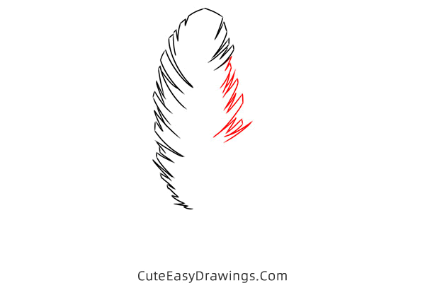how to draw a feather - www.cuteeasydrawings.com