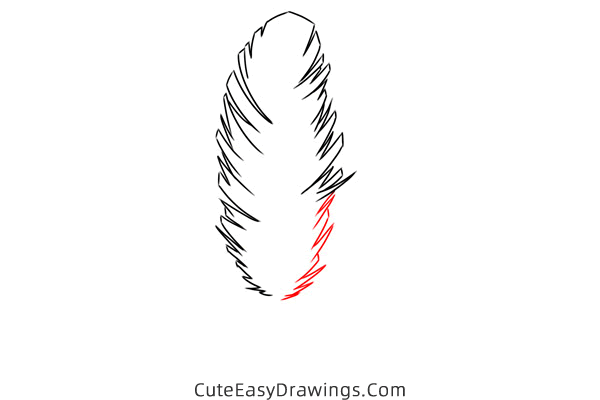 how to draw a feather - www.cuteeasydrawings.com
