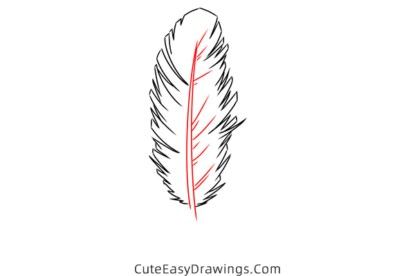 how to draw a feather - www.cuteeasydrawings.com