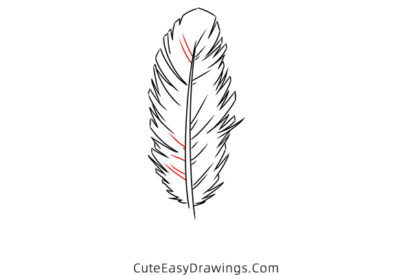how to draw a feather - www.cuteeasydrawings.com