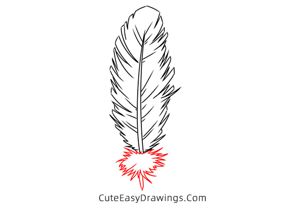 how to draw a feather - www.cuteeasydrawings.com