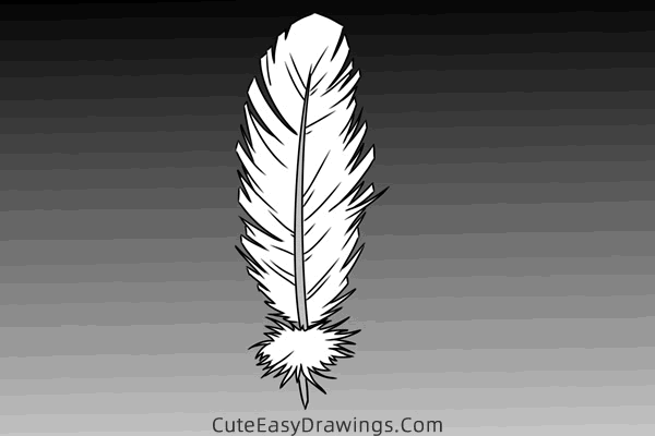 how to draw a feather - www.cuteeasydrawings.com