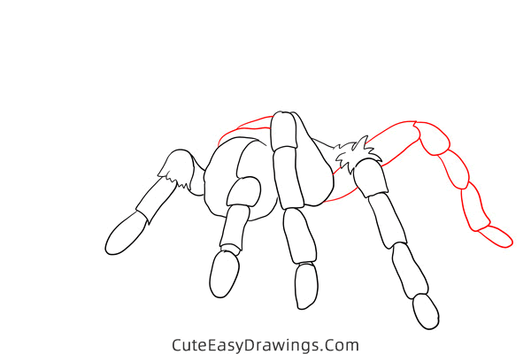how to draw a tarantula - www.cuteeasydrawings.com