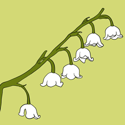 How to Draw a Lily of the Valley Step by Step