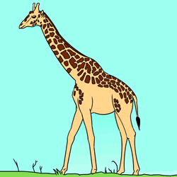 How to Draw a Realistic Giraffe Step by Step