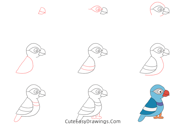 how to draw a parrot - www.cuteeasydrawings.com
