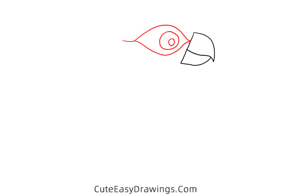 how to draw a parrot - www.cuteeasydrawings.com