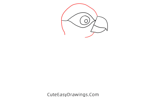 how to draw a parrot - www.cuteeasydrawings.com
