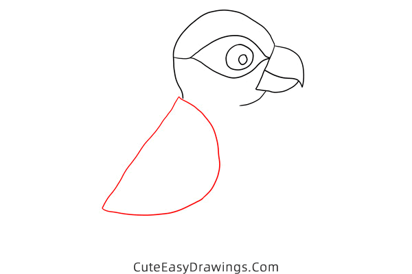how to draw a parrot - www.cuteeasydrawings.com