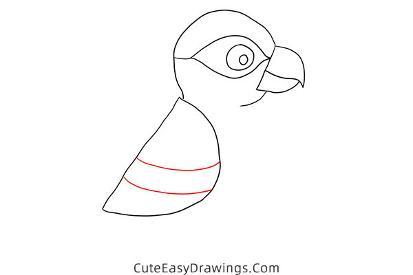 how to draw a parrot - www.cuteeasydrawings.com