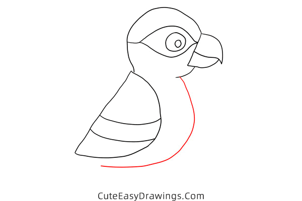how to draw a parrot - www.cuteeasydrawings.com