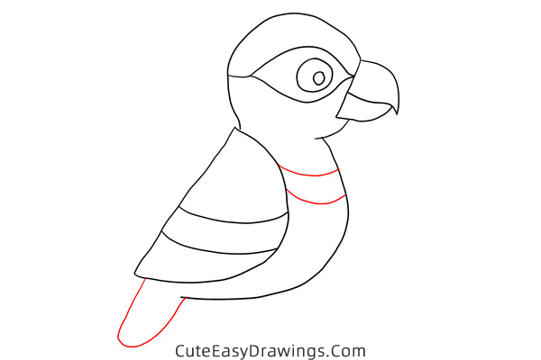 how to draw a parrot - www.cuteeasydrawings.com