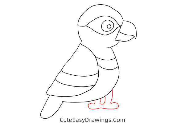 how to draw a parrot - www.cuteeasydrawings.com