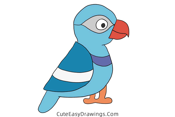 how to draw a parrot - www.cuteeasydrawings.com