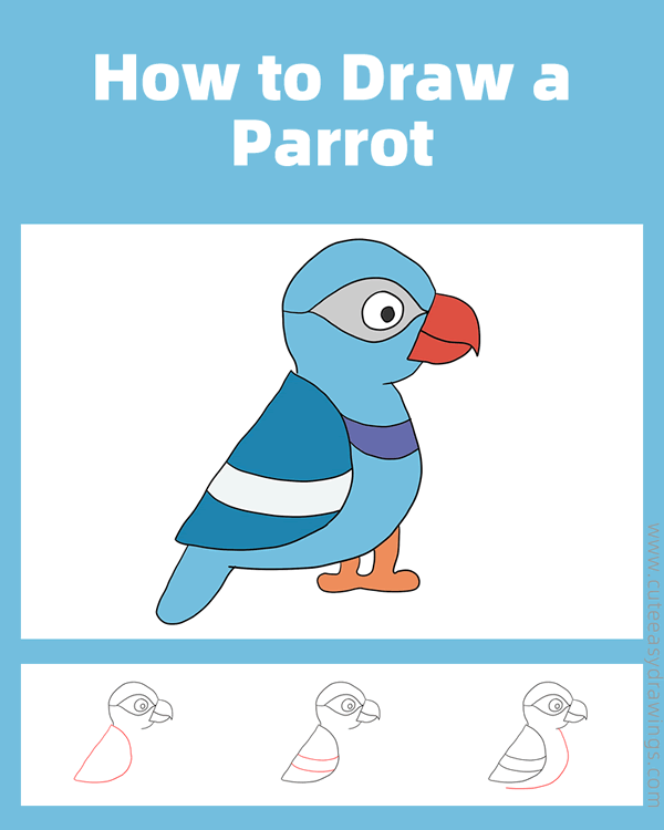 how to draw a parrot - www.cuteeasydrawings.com