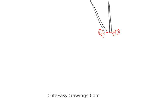 how to draw an antelope - www.cuteeasydrawings.com