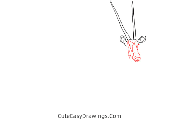 how to draw an antelope - www.cuteeasydrawings.com