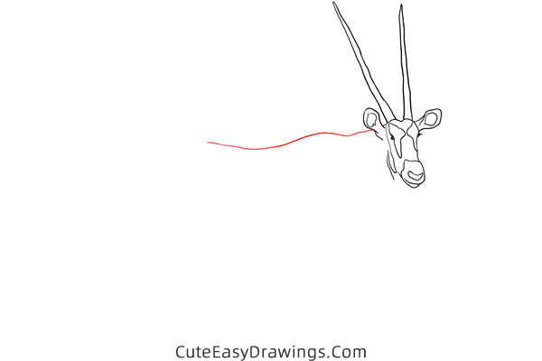 how to draw an antelope - www.cuteeasydrawings.com