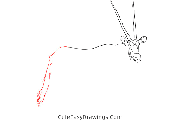 how to draw an antelope - www.cuteeasydrawings.com