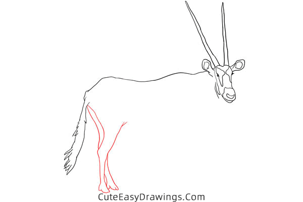 how to draw an antelope - www.cuteeasydrawings.com