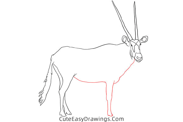 how to draw an antelope - www.cuteeasydrawings.com