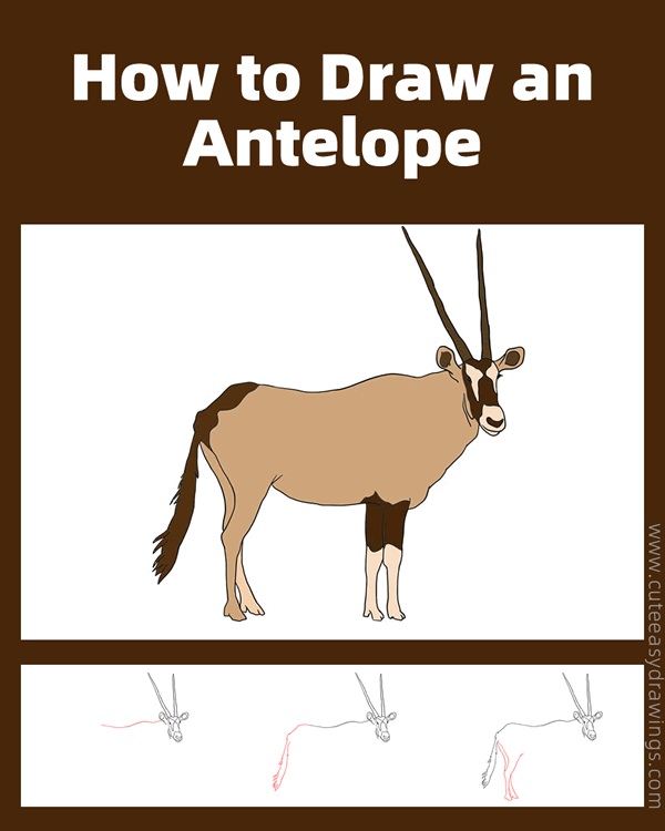 how to draw an antelope - www.cuteeasydrawings.com