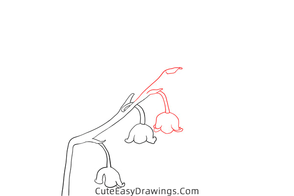 how to draw a lily of the valley - www.cuteeasydrawings.com
