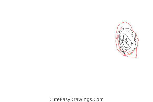 how to draw a rose flower - www.cuteeasydrawings.com