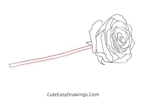how to draw a rose flower - www.cuteeasydrawings.com