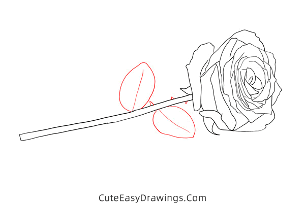 how to draw a rose flower - www.cuteeasydrawings.com