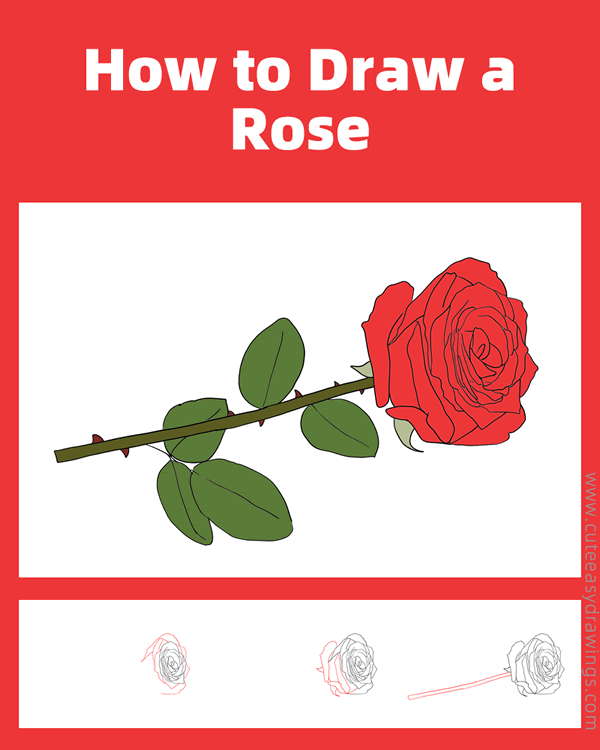 how to draw a rose flower - www.cuteeasydrawings.com