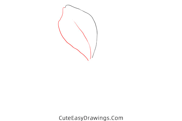 how to draw a plumbago flower - www.cuteeasydrawings.com