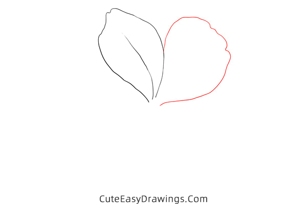 how to draw a plumbago flower - www.cuteeasydrawings.com