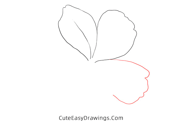 how to draw a plumbago flower - www.cuteeasydrawings.com