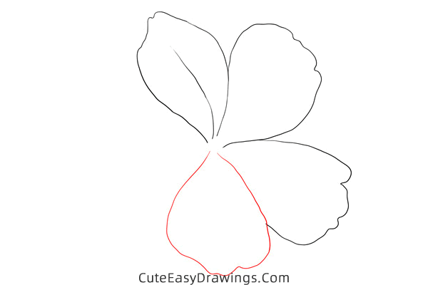 how to draw a plumbago flower - www.cuteeasydrawings.com
