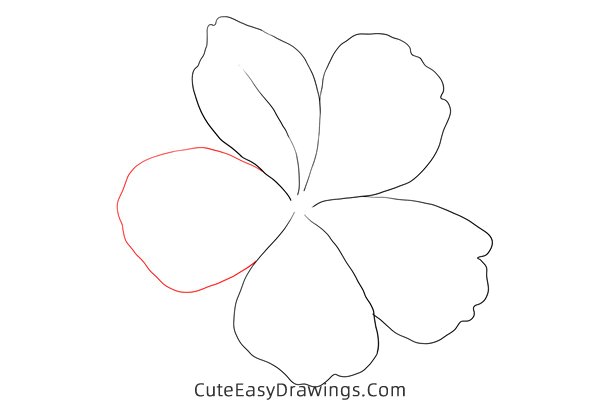how to draw a plumbago flower - www.cuteeasydrawings.com